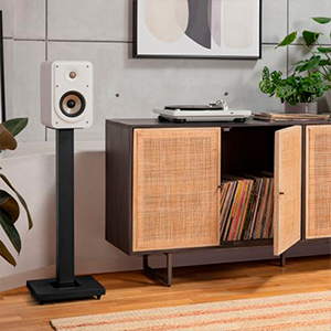 POLK AUDIO ES15 ELITE