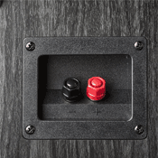 POLK AUDIO SIGNATURE S10