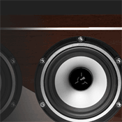 TANNOY REVOLUTION XT C