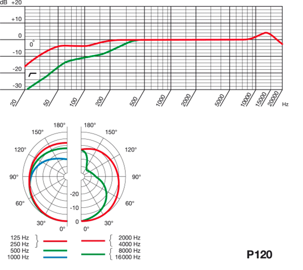 AKG P120