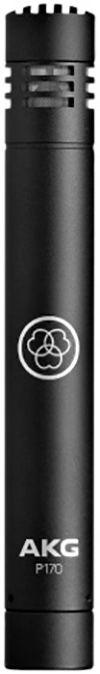 AKG P170

