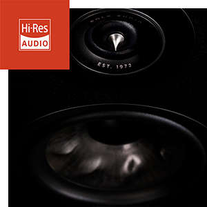 POLK AUDIO RESERVE