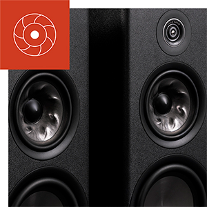 POLK AUDIO RESERVE