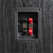 POLK AUDIO SIGNATURE S55